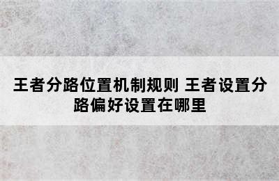 王者分路位置机制规则 王者设置分路偏好设置在哪里